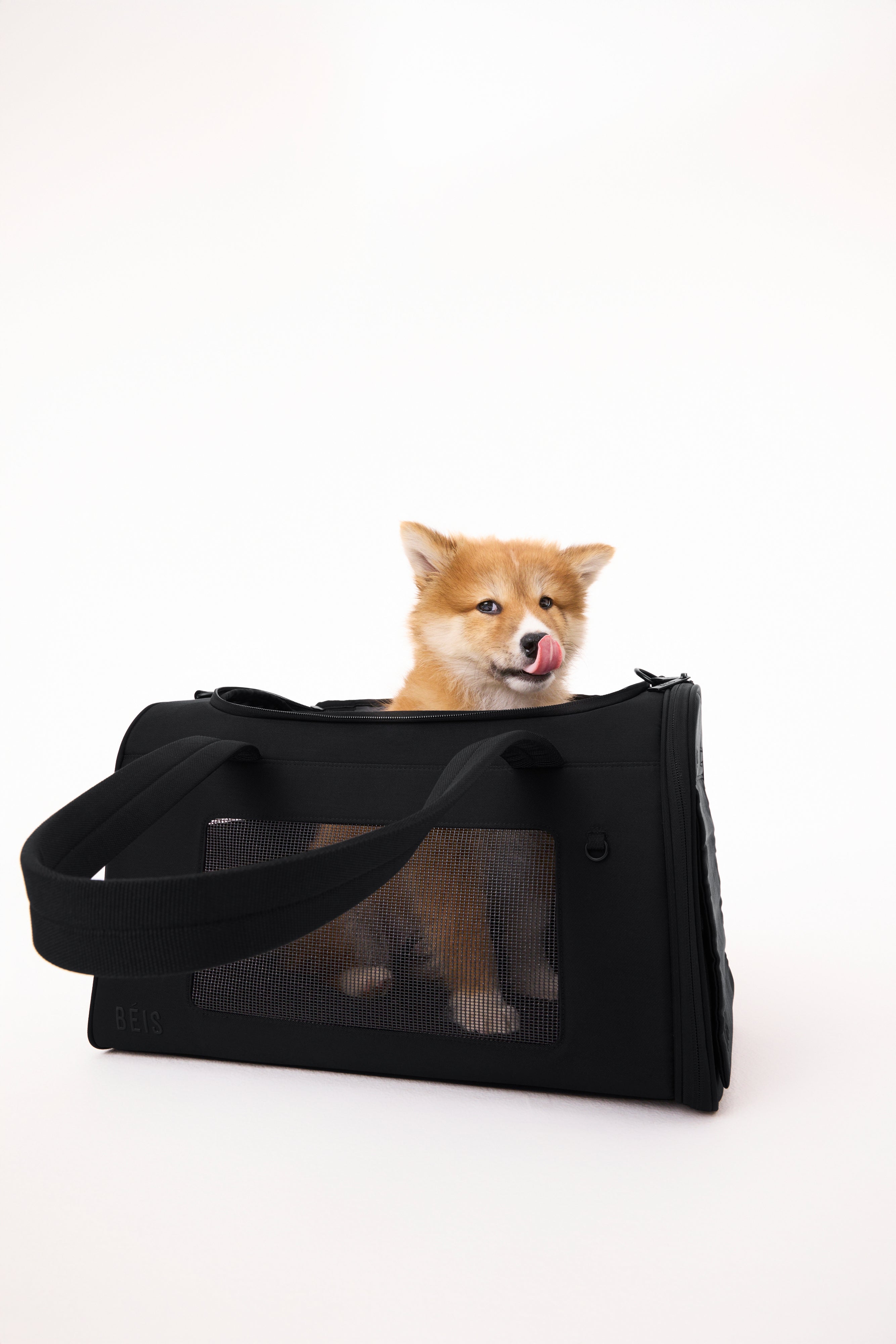 The Pet Carrier in Black - Image 4